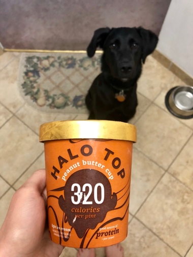 Peanut Butter Cup Halo Top